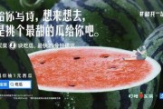 吃瓜文案娱乐圈,揭秘明星幕后故事